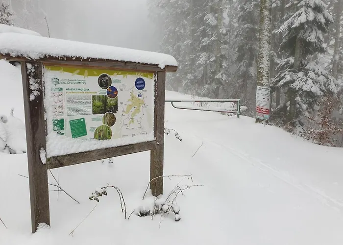 Au Pied Du Gazon Saint-Maurice-sur-Moselle